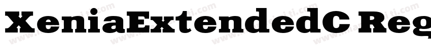 XeniaExtendedC Regul字体转换